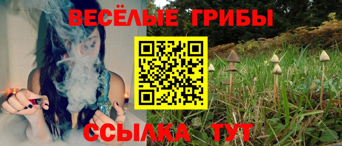 Галлюциногенные грибы мухоморы  Вход с VPN  Галлюциногенные грибы мицелий  Новоалтайск 